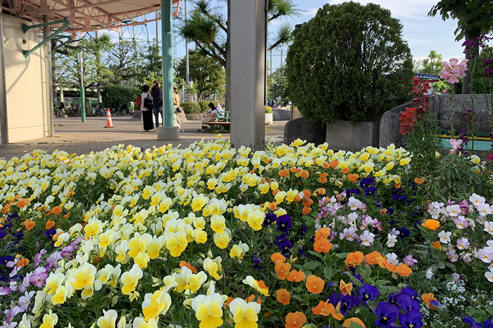 公園が近くにある落ち着いた住宅街